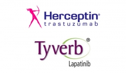 Добавление лапатиниба к трастузумабу повышает эффективность лечения HER2-позитивного рака груди